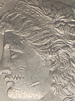 Sorry-,-First-Time-Poster-Looking-For-Some-Answers.-Zombie-Lips-Morgan-Dollar.-1882